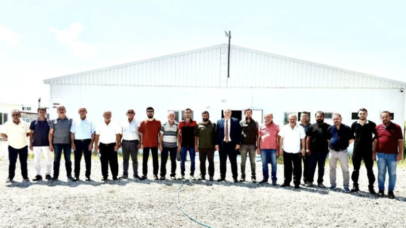 Modern Sulamaya adım adım