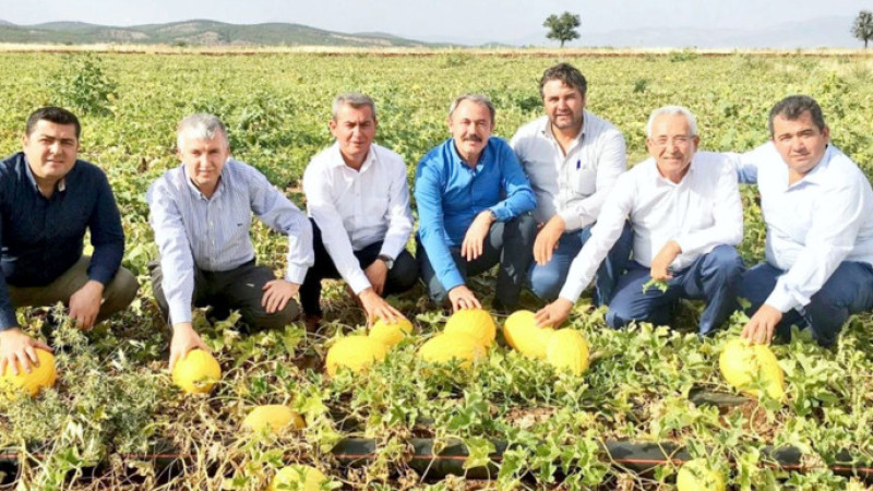 Acıpayam kavunu tescillendi