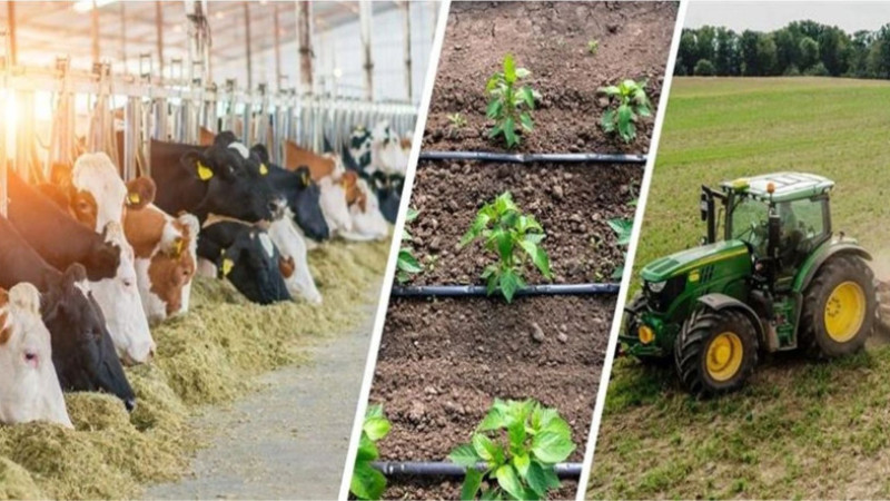 227 Milyon Liralık Destekleme Hesaplarda