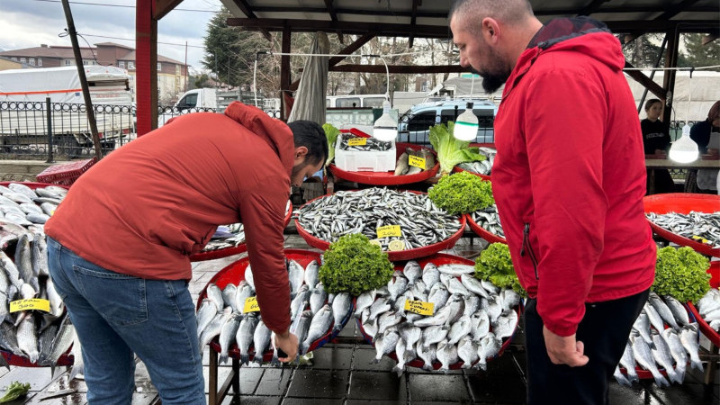 Sürdürülebilir Balıkçılık için Sahadalar