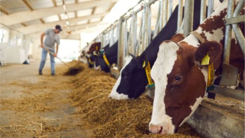 Üreticiye Büyük Müjde: 1,7 Milyar Lira Destek