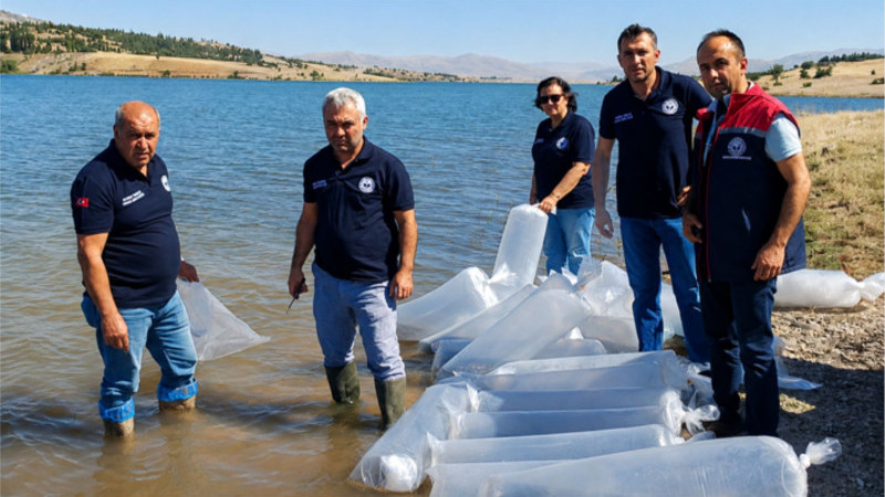 İç Sulara Balık Takviyesi