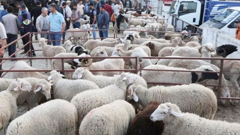 Bayram Öncesi Cep Yakan Pazar